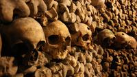 Visite en petit groupe avec billet coupe-file à Paris dans les catacombes