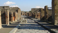 Day Trip from Rome to Naples and Pompeii - Private Tour