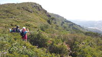 Day Hike in Sintra Palaces or Natural Park