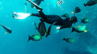 Snorkeling Package at Tulamben USAT Liberty Shipwreck