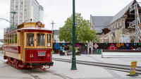 Akaroa Shore Excursion: Christchurch Highlights City Tour