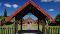 Full-Day Rotorua Shore Excursion Including Te Puia and Hells Gate Thermal Beds