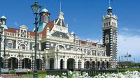 Shore Excursion: Dunedin Highlights Small-Group Tour