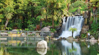 Shore Excursion: Te Puia and Rainbow Springs from Tauranga 