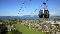 Shore Excursion: Te Puia and Skyline Rotorua from Tauranga