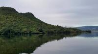 Shore Excursion: Te Puia, Jet Boat and Mokoia Island from Tauranga 