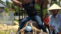 Countryside Water Buffalo Cart Ride of Cam Thanh Village