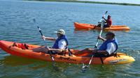 Rois Lagoon Kayak Tour in Falmouth