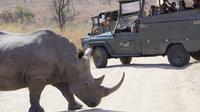 Dagtour naar Kruger Park in een open safarivoertuig vanuit Hazyview Dagtour naar Kruger Park in een open safarivoertuig vanuit Hazyview