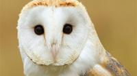 Vogelbeobachtungs-Tour mit Weinverkostung Vogelbeobachtungs-Tour mit Weinverkostung