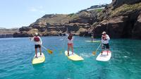 Stand Up Paddle in Santorini
