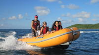 4 Passenger Mini Boat Snorkel Safari