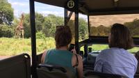 Privé Matin Safari dans le parc Kruger de Hazyview