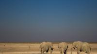 3-Day Etosha National Park Tour from Windhoek