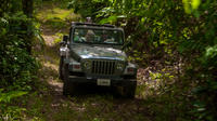 Jungle Jeep Adventure from Belize City