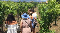 Mt Etna Wineries Tour from Taormina