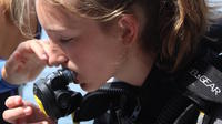 Taormina Children's Diving Experience: Bubble Maker Diving Course at Isola Bella 