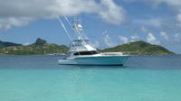 St Lucia Private Full-Day Coastal Powerboat Cruise