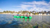 Half-Day Guided Kayak Tour of Capel Sound from Rosebud West