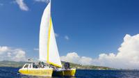 Catamaran Day Trip to Nevis Including Pinney's Beach