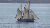 Hobart Lunch Cruise On Board The SV Rhona H Tall Ship