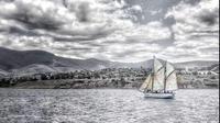 Hobart Morning or Afternoon Tea Cruise On Board The SV Rhona H Tall Ship