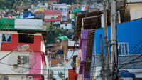 Excursão particular: Favela de Santa Marta com um fotógrafo profissional