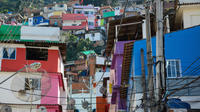 Private Tour: Santa Marta Favela with a Professional Photographer