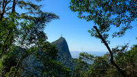 Private Tour: Santa Teresa and Tijuca Forest Photo Tour