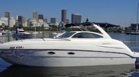 Visite privée: Visite Photographie Excursion en bateau à bord du Boa Vida Cimitarra