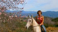 Alanya 3 Hour Horse Back Riding