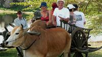 Bodrum Village Tour