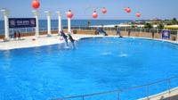 Dolphin Show at Sealanya from Side