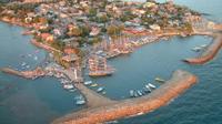 Île dauphins Croisière du Vieux Port