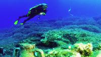 Scuba Diving for Beginners in Alanya