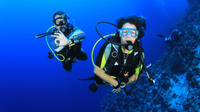 Plongée sous-marine ou avec tuba pour les débutants à Side