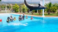 Swim with Dolphins at Sealanya Dolphinpark