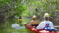 Bioluminescent Bay Kayak Adventure Tour from San Juan