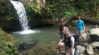 El Yunque National Forest Tour from Fajardo