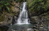 El Yunque National Forest Tour from San Juan