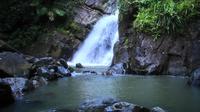 El Yunque Rainforest Guided Hiking with Waterfall Tour 