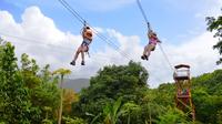 Kombineret svævebanetur og vandretur i El Yunque-regnskoven Kombineret svævebanetur og vandretur i El Yunque-regnskoven
