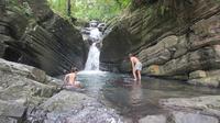 Viator Exclusive: Vroege toegang tot El Yunque National Forest Park met een gecertificeerde gids Viator Exclusive: Vroege toegang tot El Yunque National Forest Park met een gecertificeerde gids