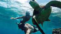 Vieques Snorkeling Tour from San Juan