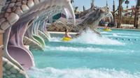 Tour of Yas Island Water World from Dubai 