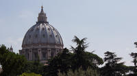 Skip the Line: Vatican Tour including the Sisitine Chapel and St Peter's Basilica