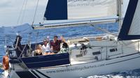 6 heures d'observation des baleines privée et Voile Tour à Tenerife
