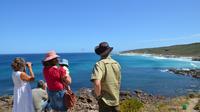 Margaret River Coastal and Wildlife Eco Trip from Busselton or Dunsborough