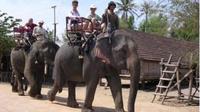 3-Day Central Highlands et Buon Ma Thuot Visite Y compris Vol de Hanoi