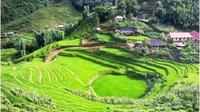 Full-Day Biking Adventure in Sapa from Hanoi